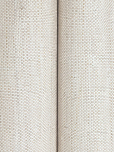 Painted Raffia