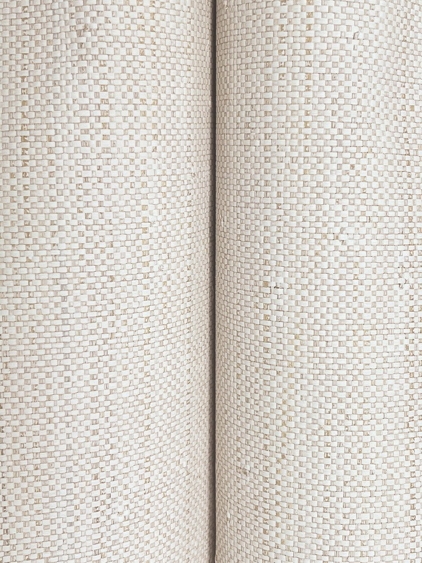 Painted Raffia