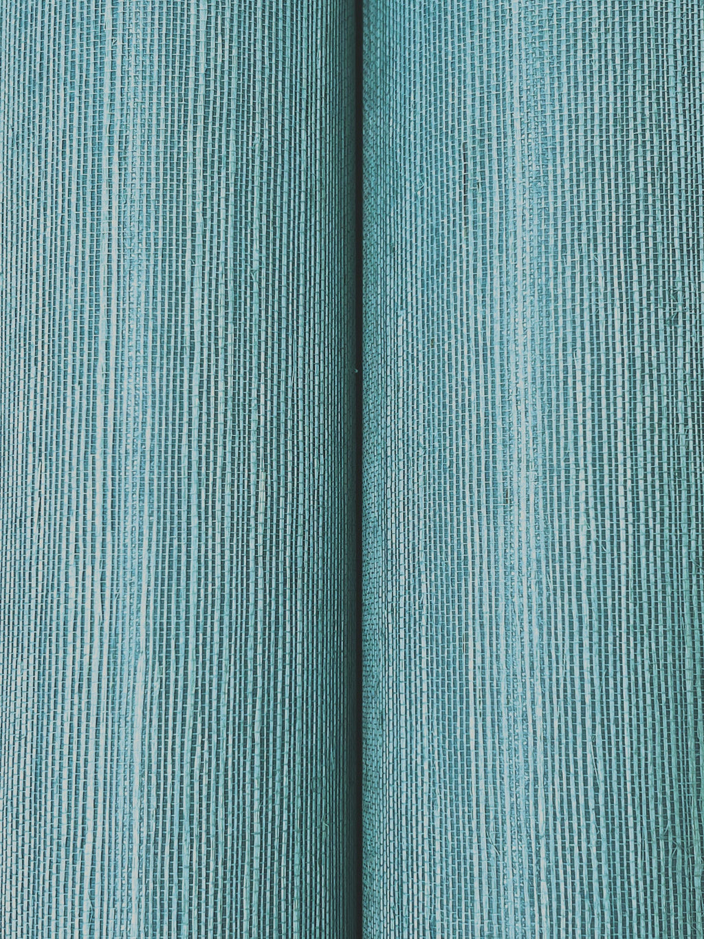 Maguey Sisal