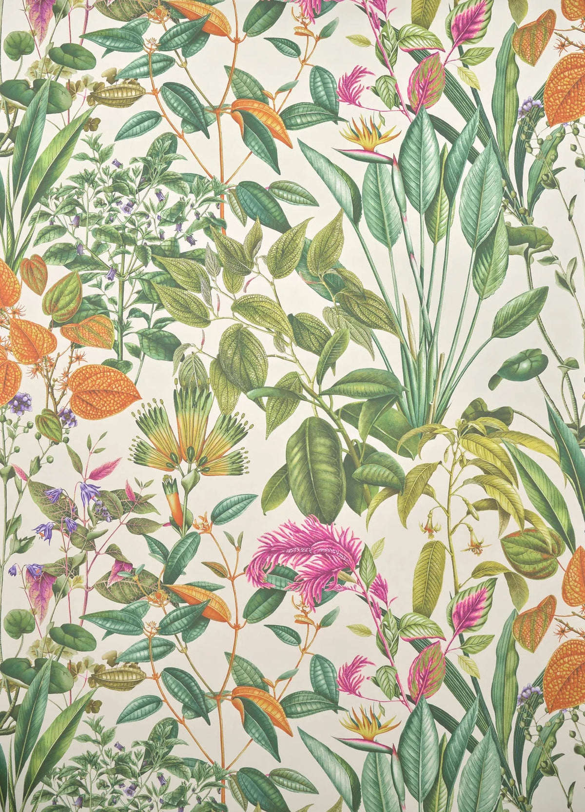 Fantaisie tropicale wallpaper in VEGETAL