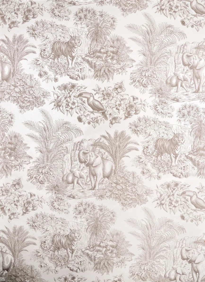 Le repos du toucan wallpaper in SABLE