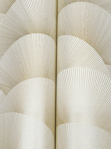 Morning Shell