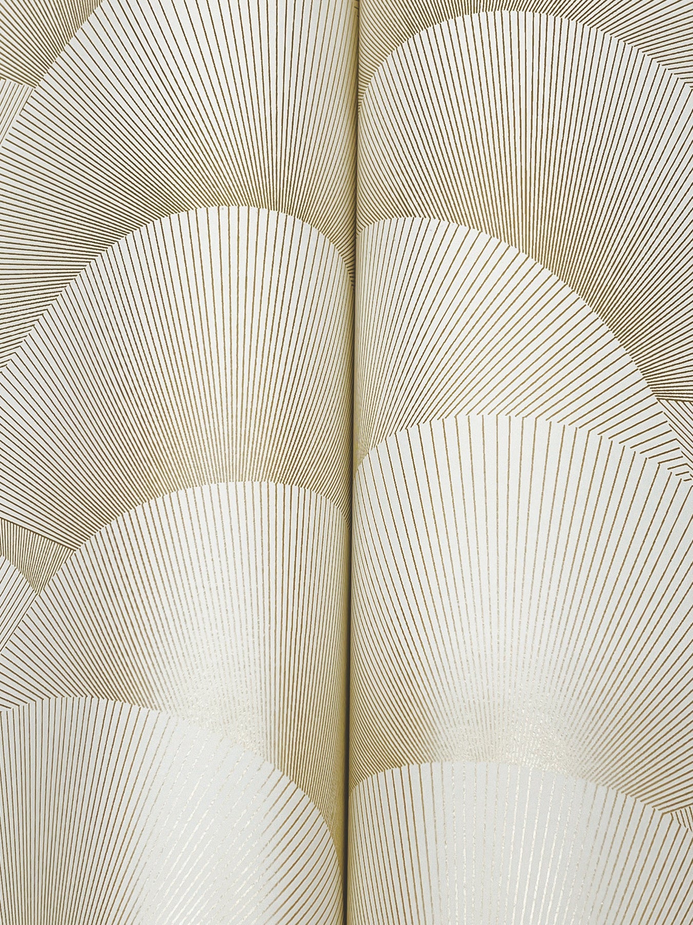 Morning Shell