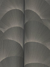 Load image into Gallery viewer, Morning Shell