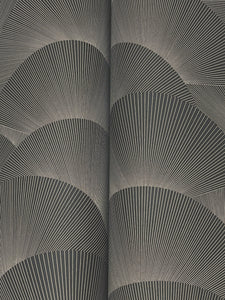 Morning Shell