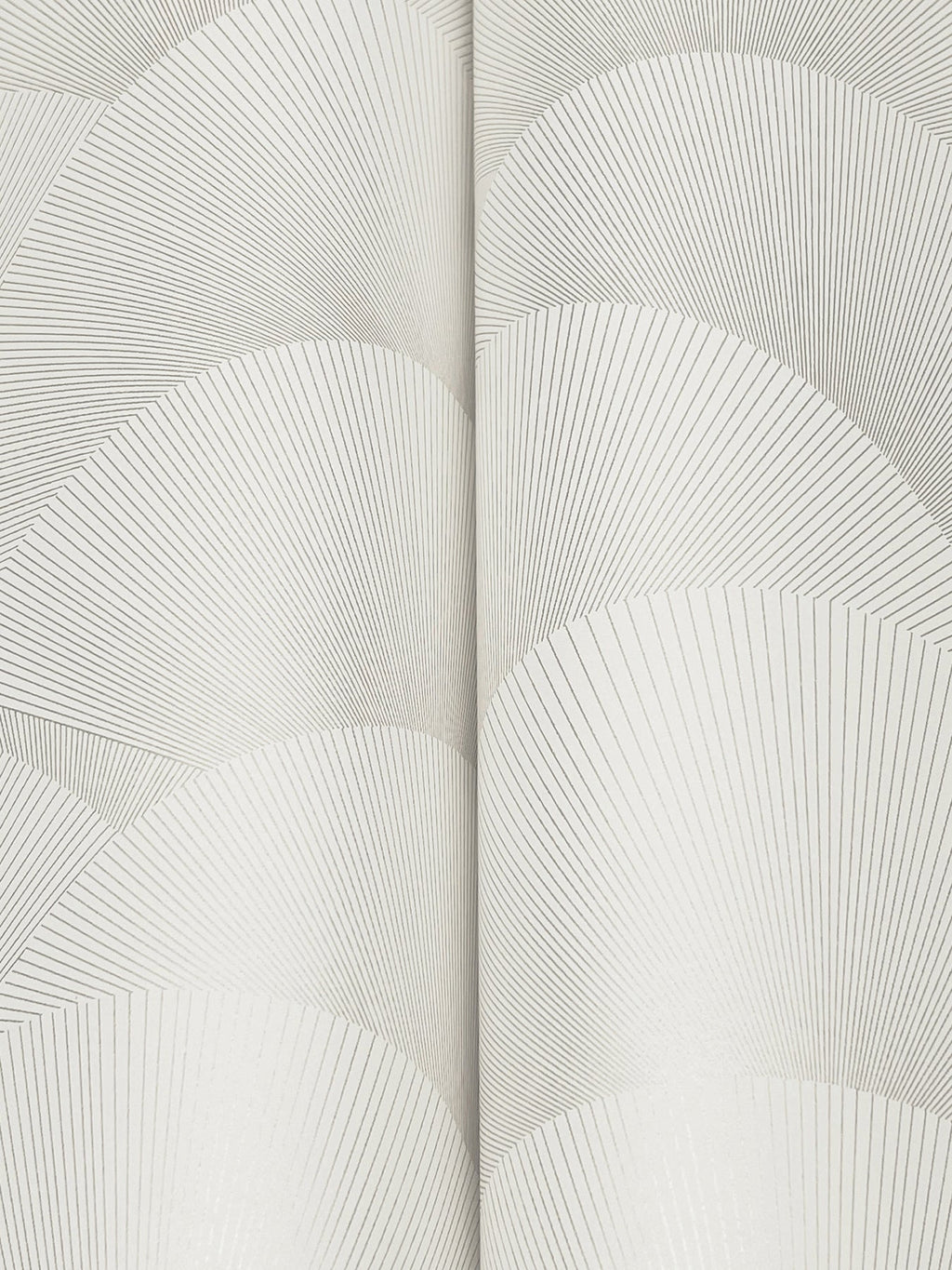 Morning Shell