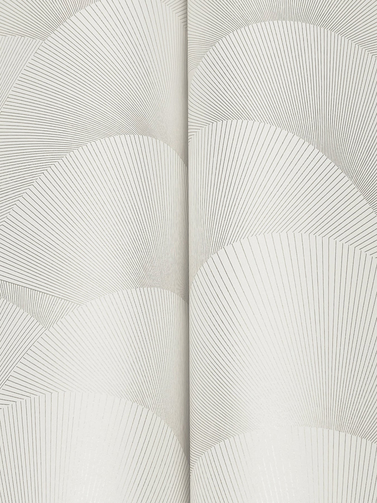 Morning Shell