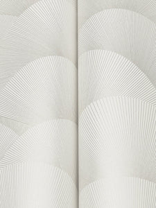 Morning Shell
