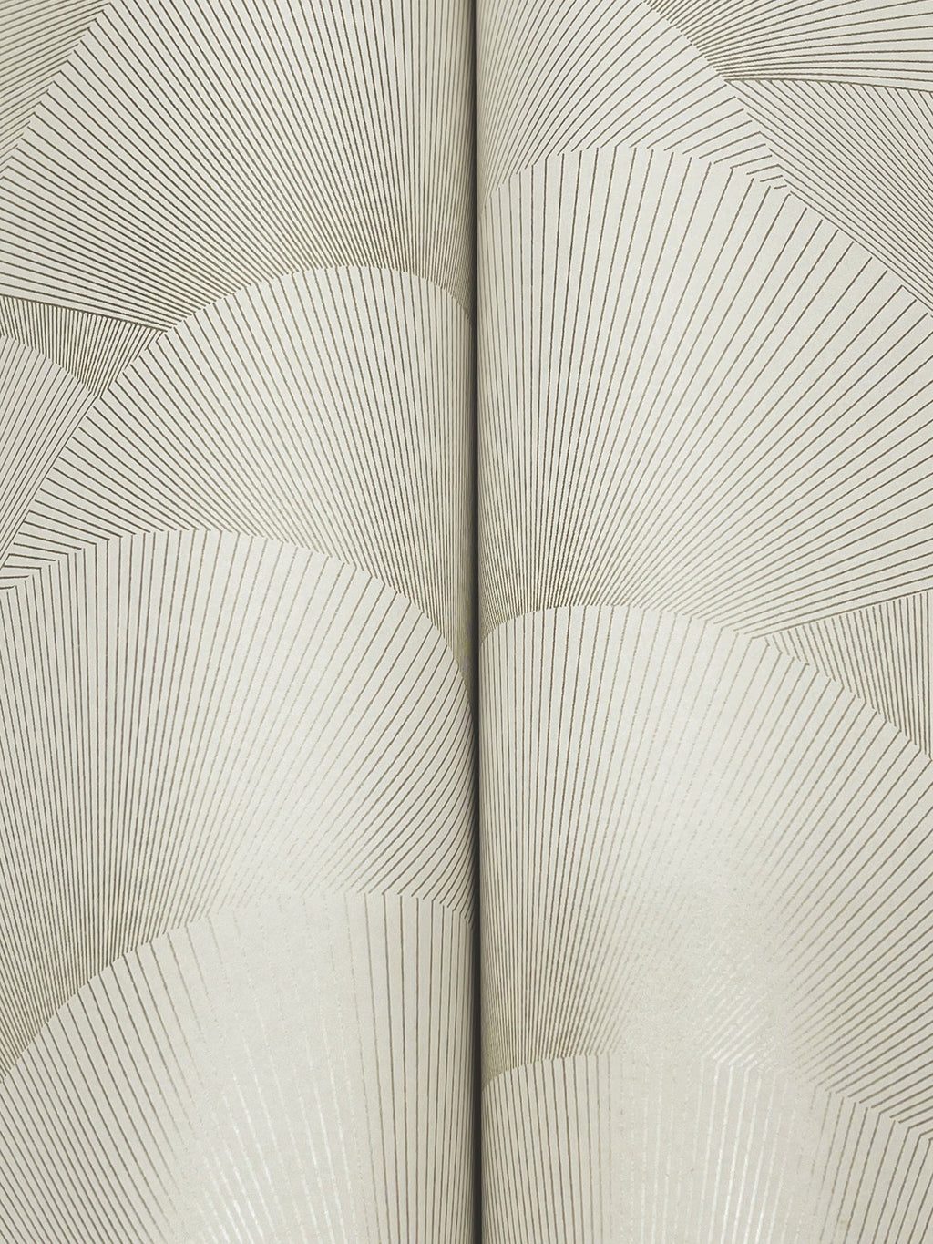 Morning Shell
