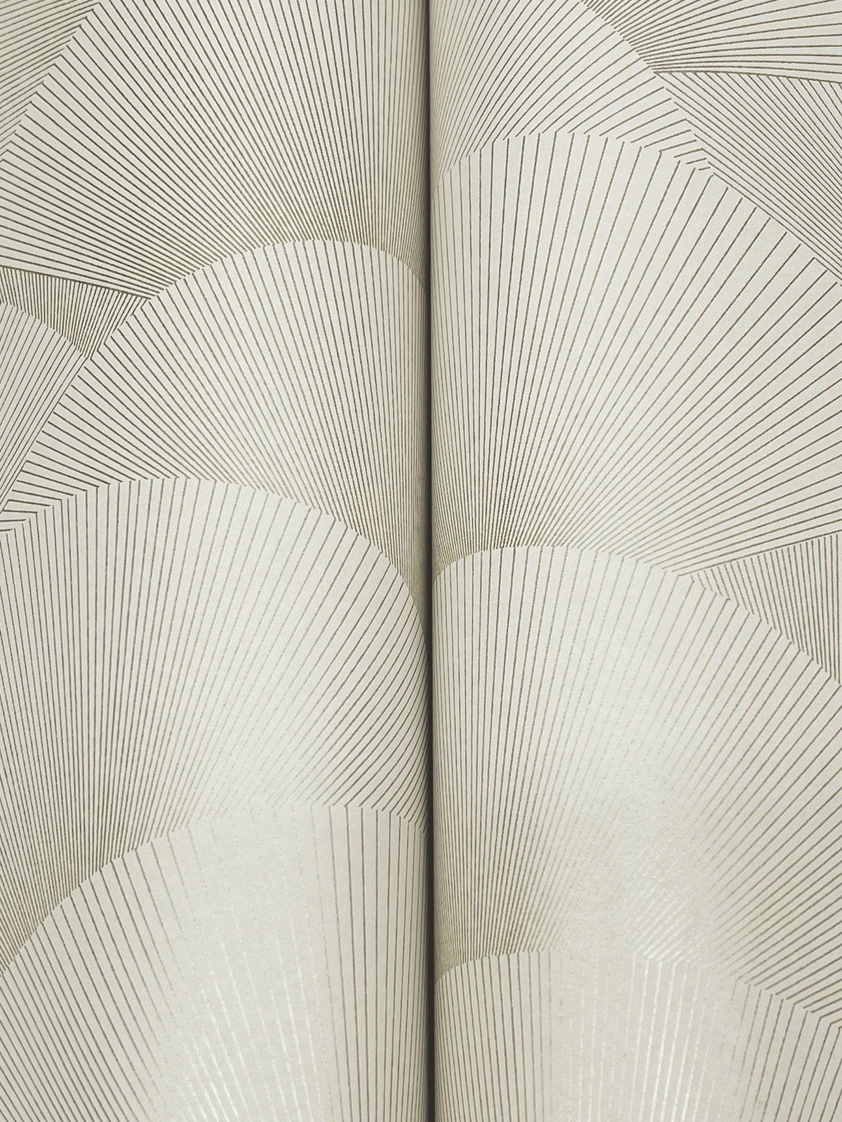 Morning Shell