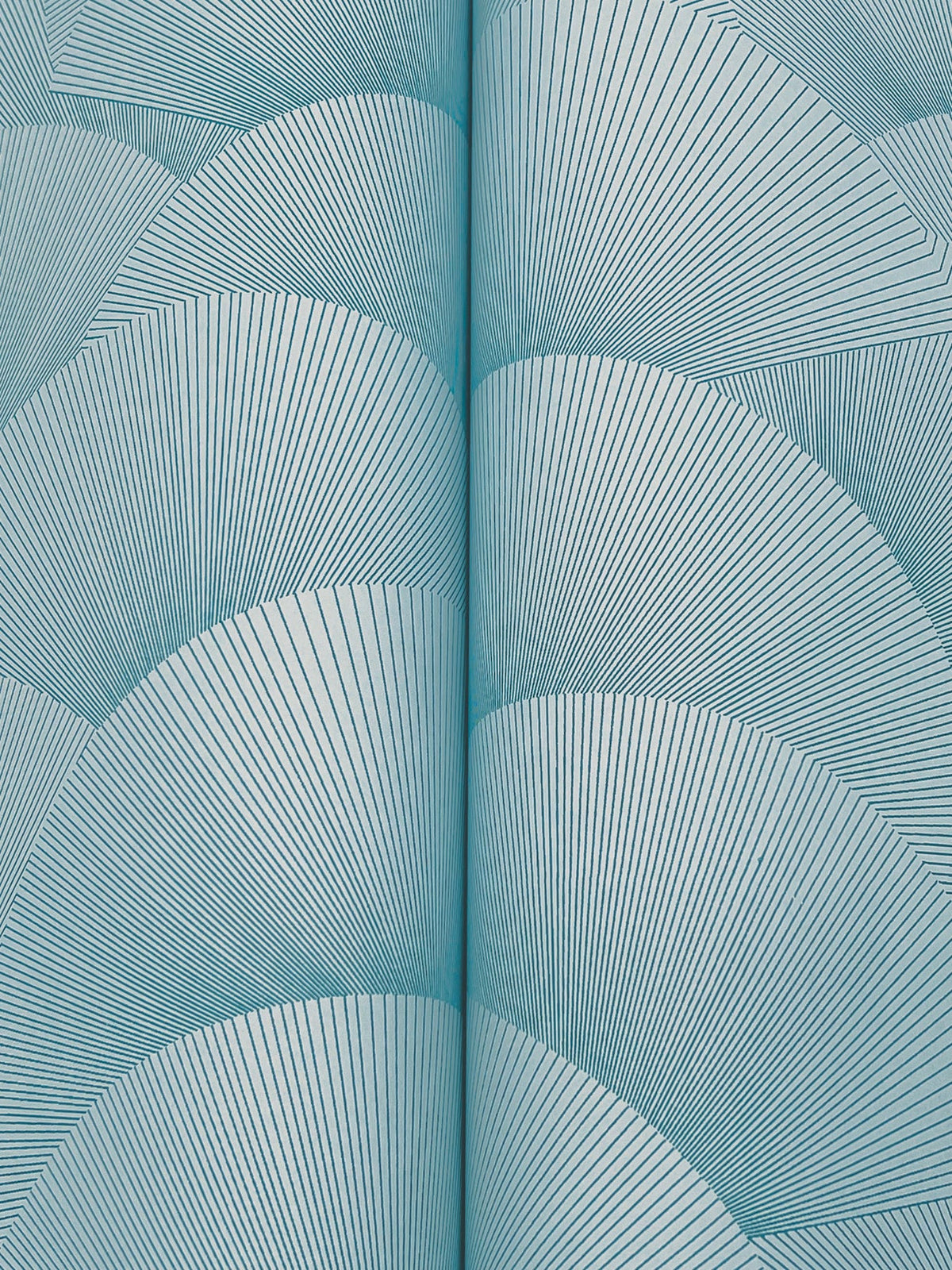 Morning Shell