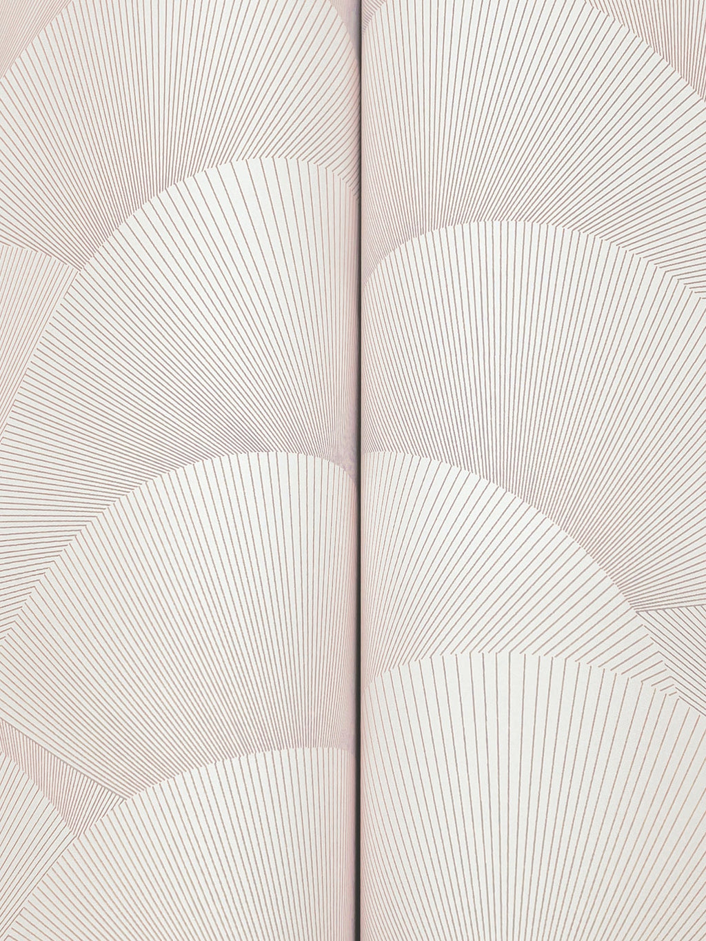Morning Shell