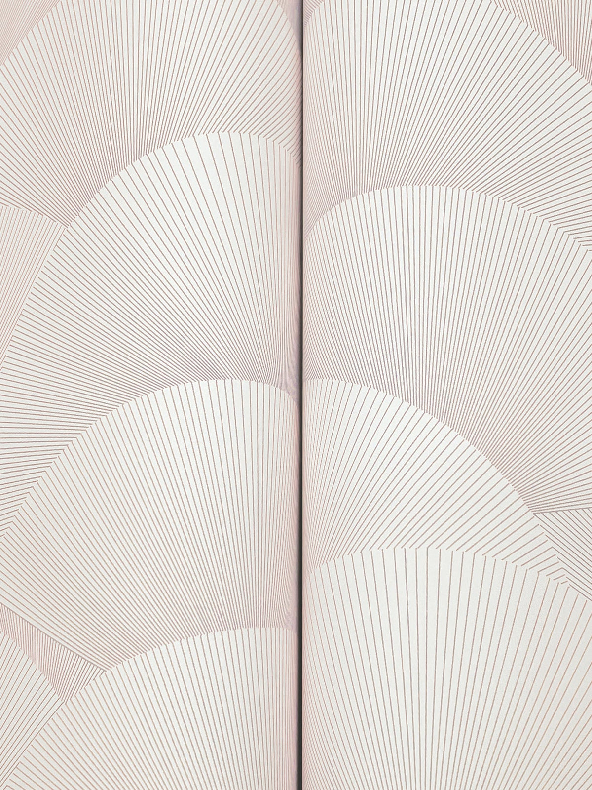 Morning Shell