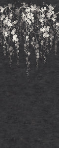 Sakura Blooms