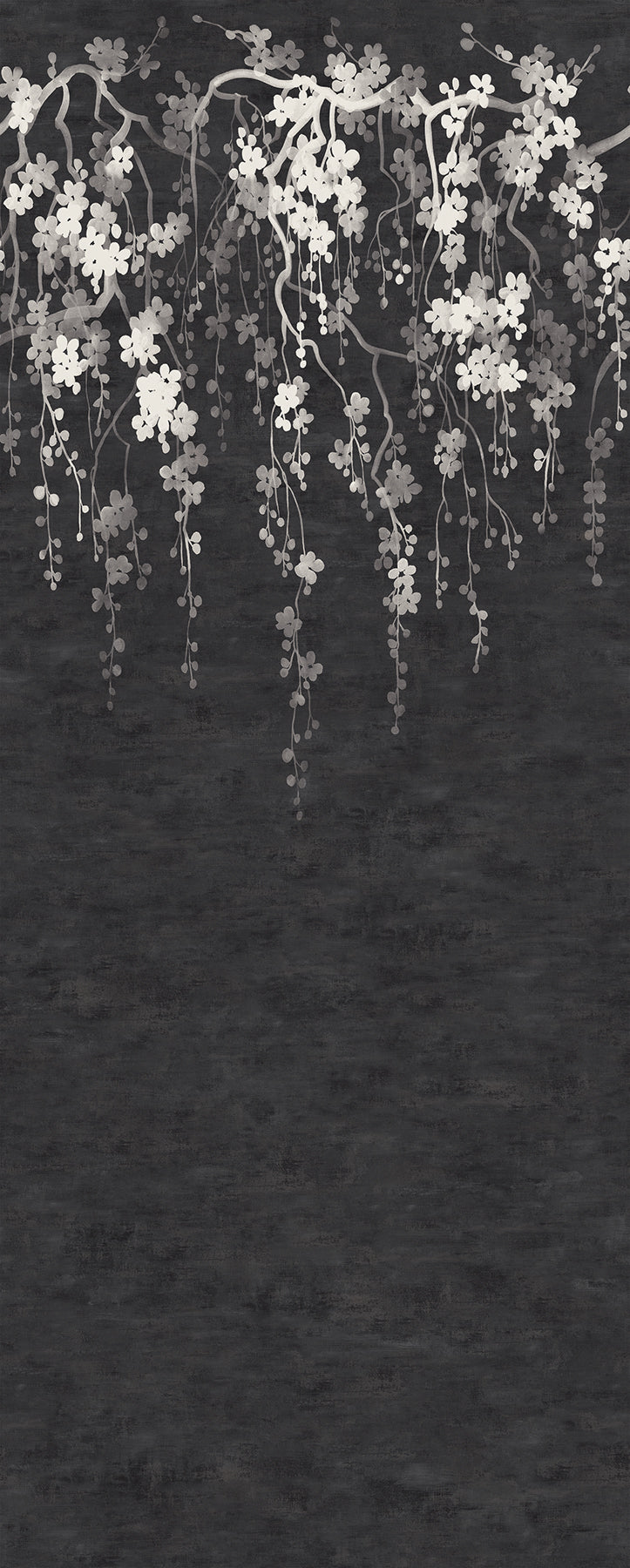 Sakura Blooms