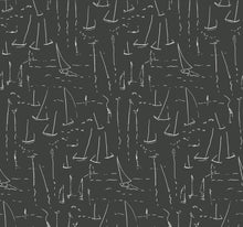 Load image into Gallery viewer, Coast