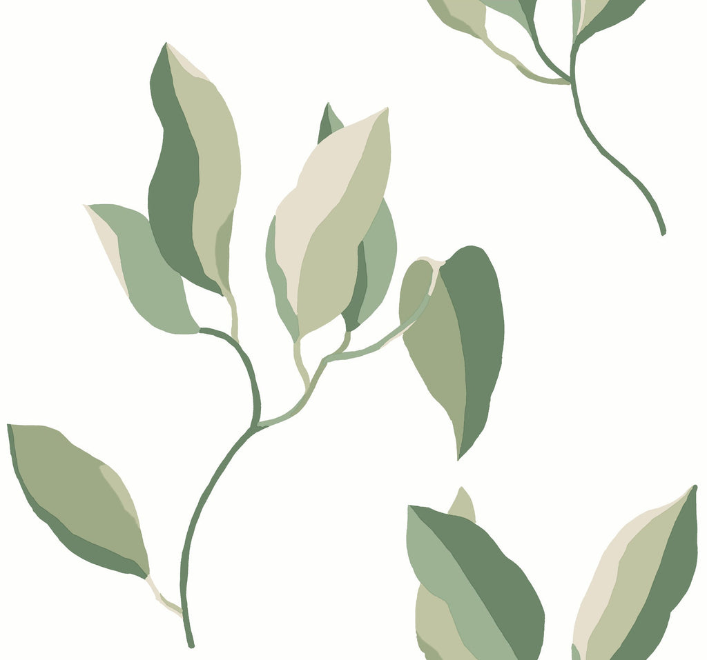 Brushwork Branches
