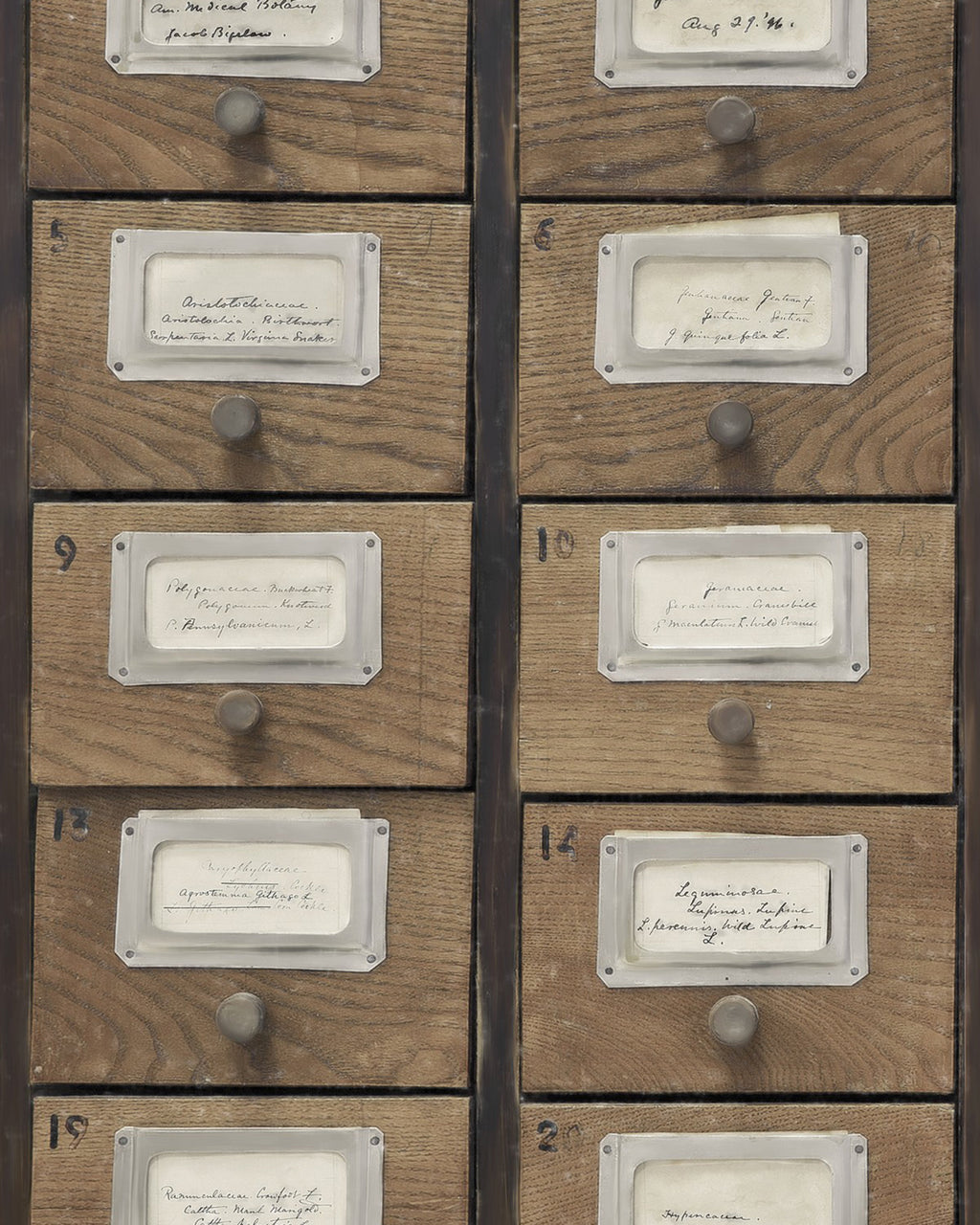 APOTHECARY WALLPAPER