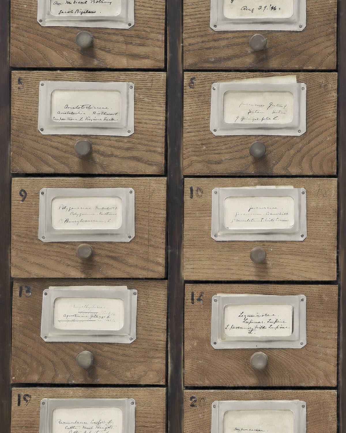 APOTHECARY WALLPAPER