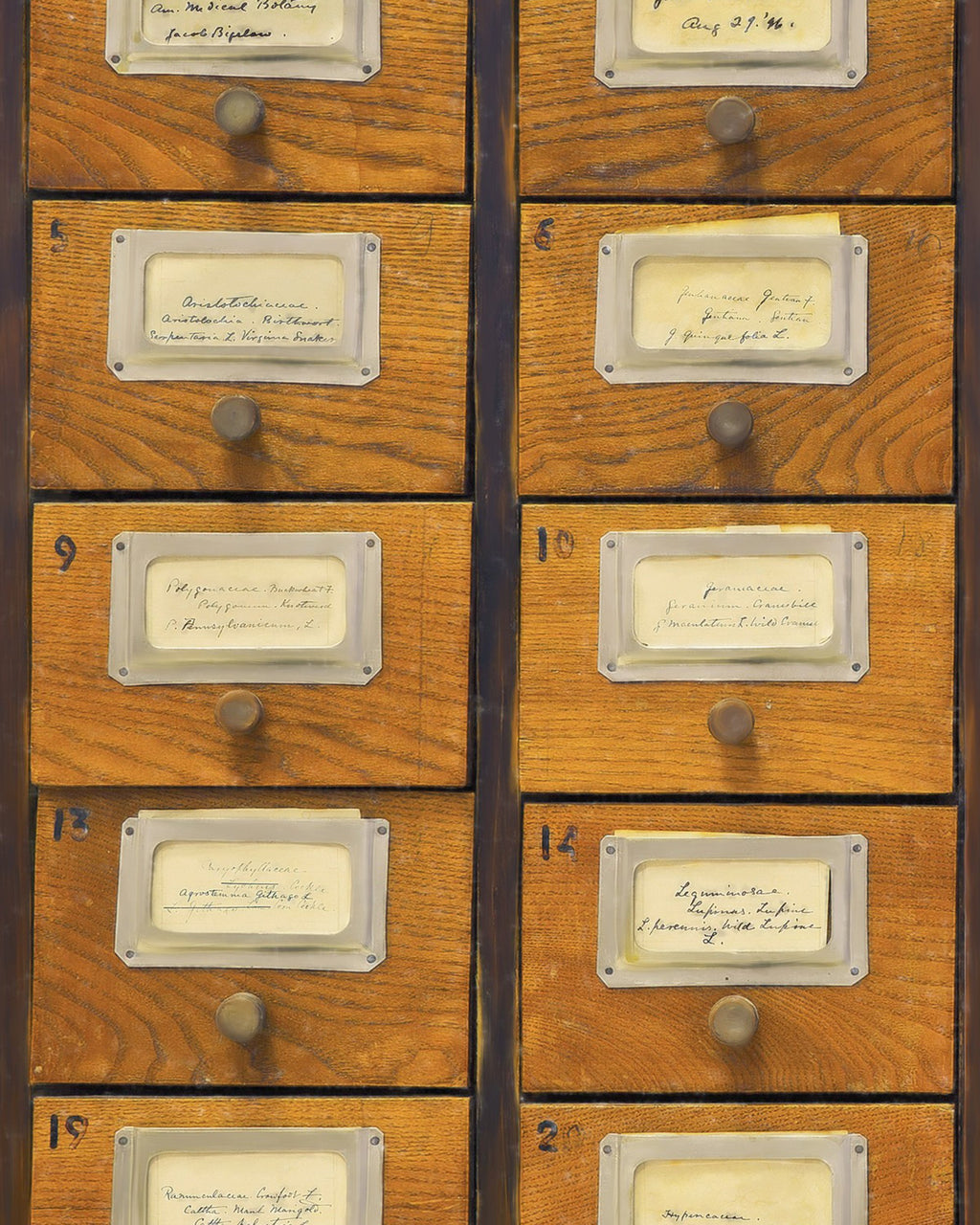 APOTHECARY WALLPAPER