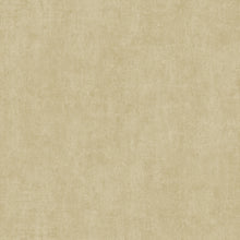 Load image into Gallery viewer, GILDED PLASTER WALLPAPER