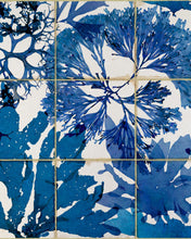 Load image into Gallery viewer, ALGAE WALLPAPER