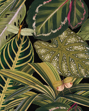 Load image into Gallery viewer, AMAZONIA WALLPAPER