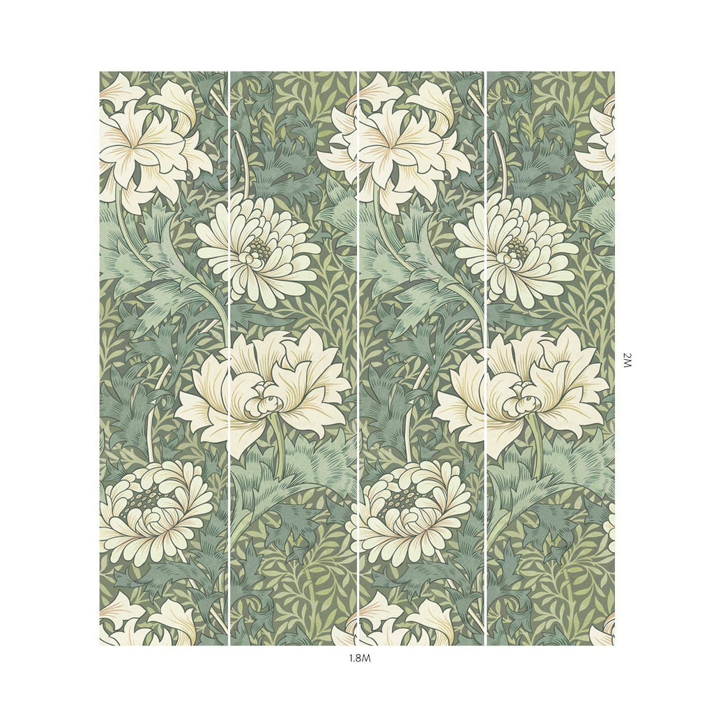 CHRYSANTHEMUM MAGNA Wallpaper - Sap