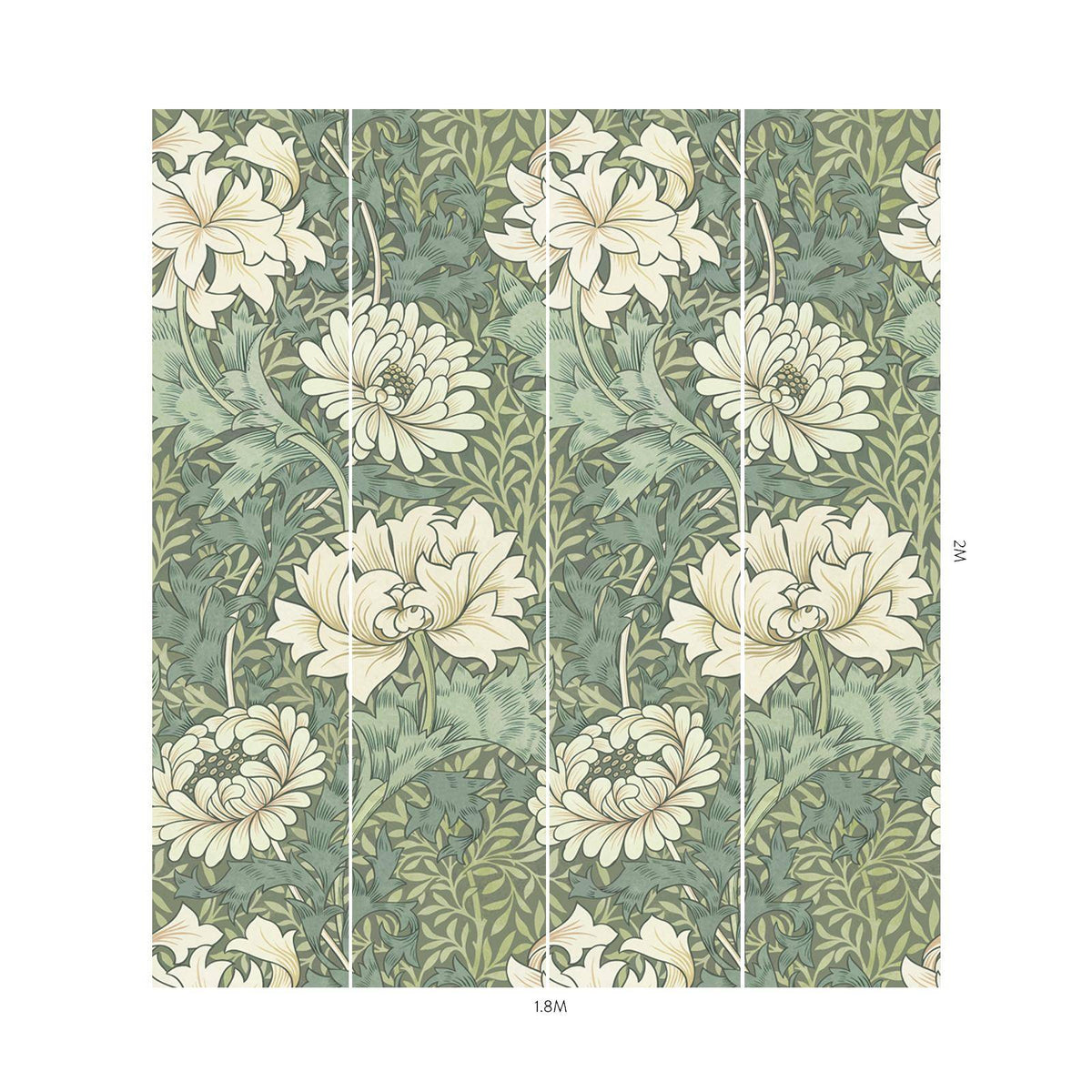 CHRYSANTHEMUM MAGNA Wallpaper - Sap