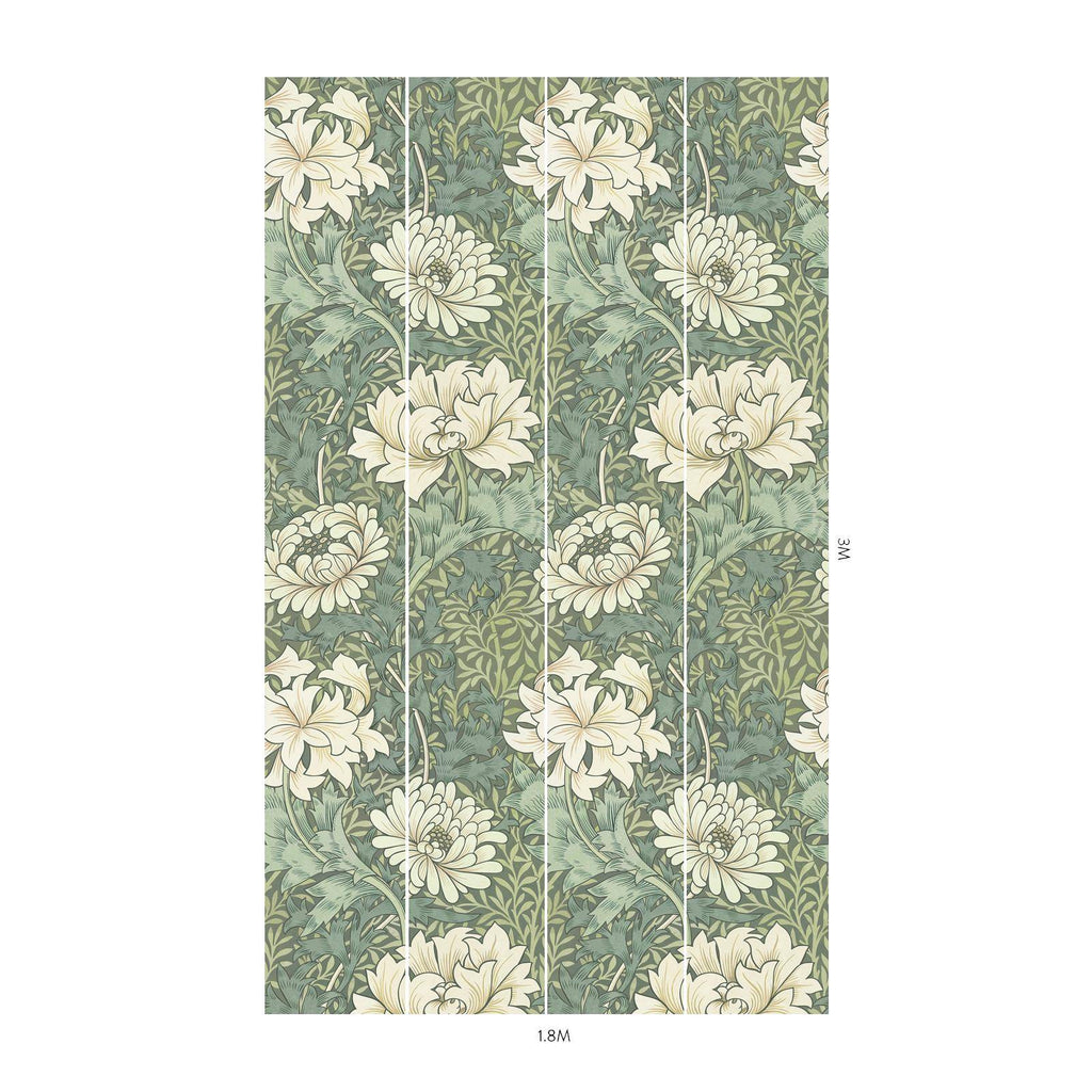 CHRYSANTHEMUM MAGNA Wallpaper - Sap