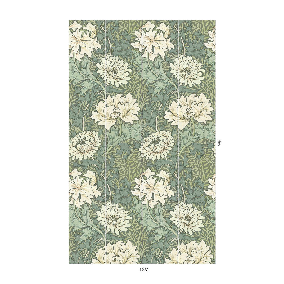CHRYSANTHEMUM MAGNA Wallpaper - Sap