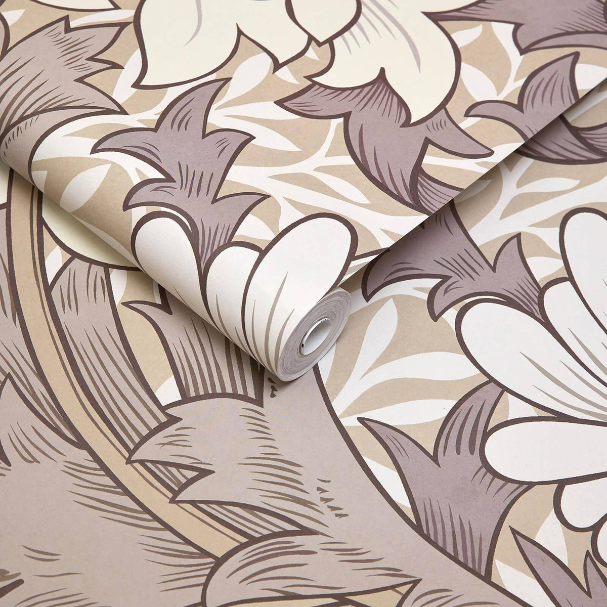 CHRYSANTHEMUM MAGNA Wallpaper - Astrantia