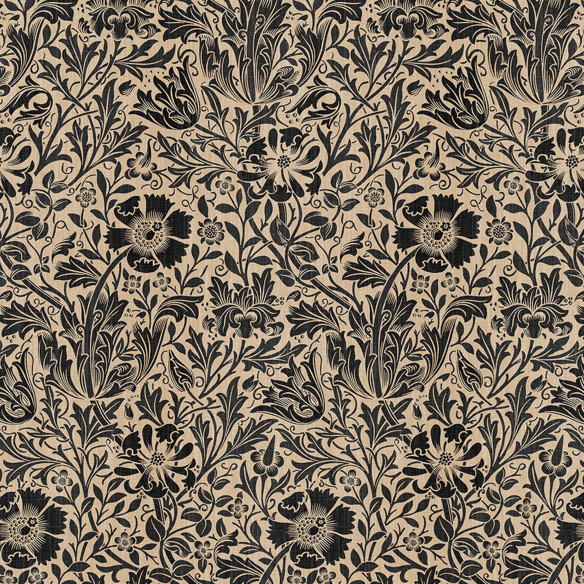 COMPTON PARVUM Wallpaper - Phlox