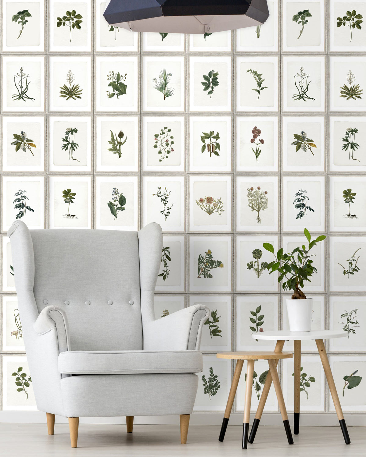 BOTANY WALLPAPER