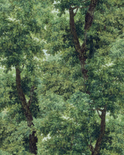 Load image into Gallery viewer, BRANCHY WALLPAPER