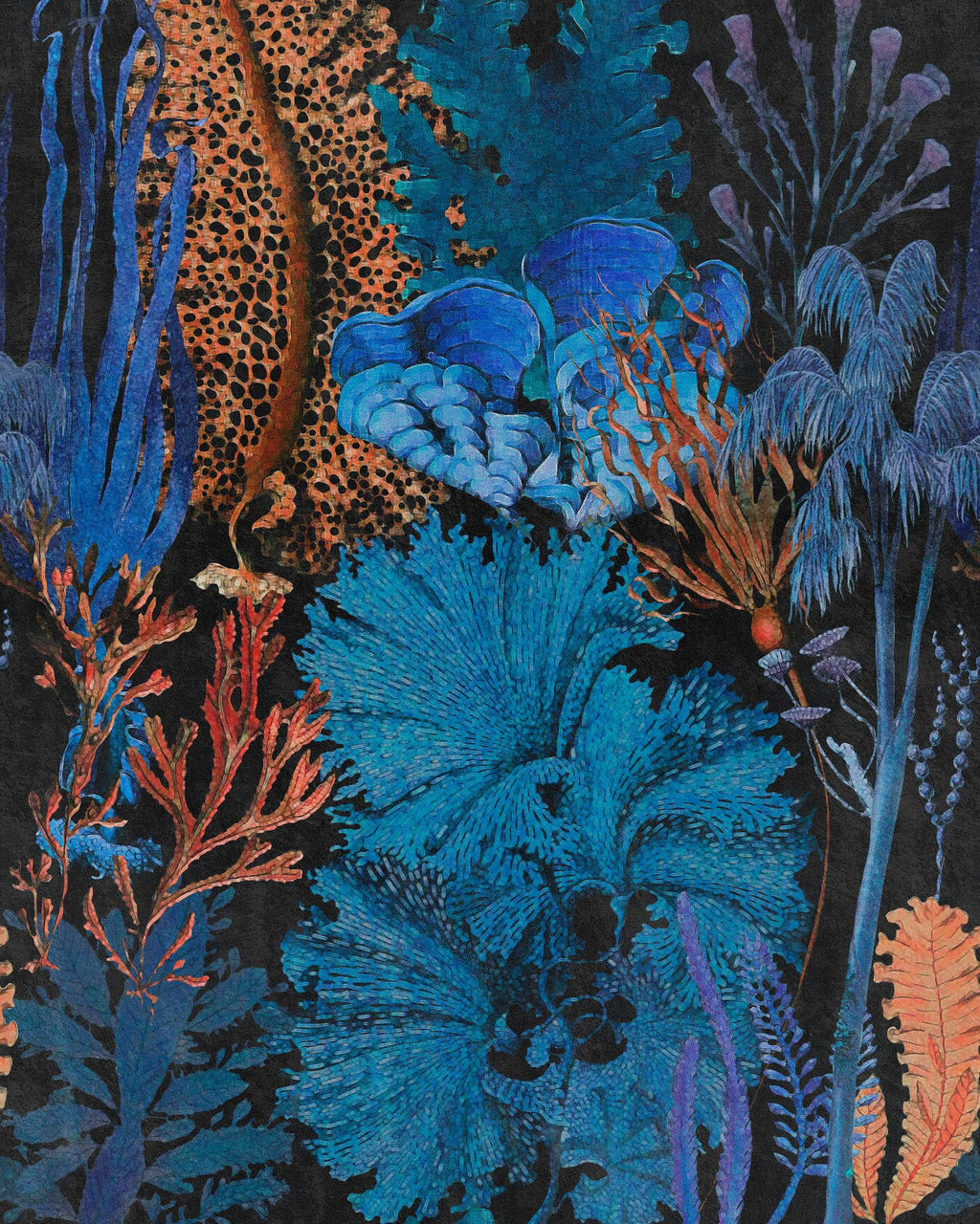 CORAL REEF WALLPAPER