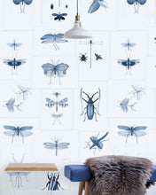 Load image into Gallery viewer, ENTOMOLOGY WALLPAPER