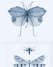 Load image into Gallery viewer, ENTOMOLOGY WALLPAPER