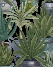 Load image into Gallery viewer, ECHEVERIA WALLPAPER