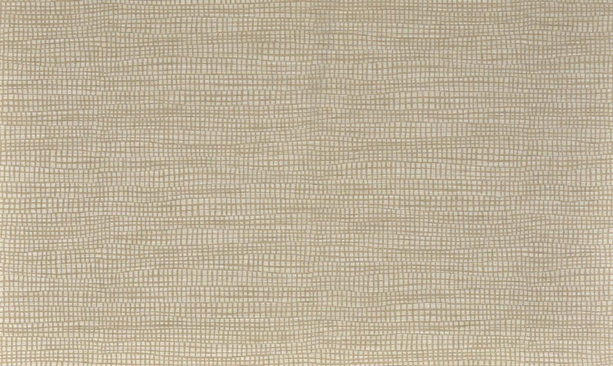 Niamh wallpaper in Sable