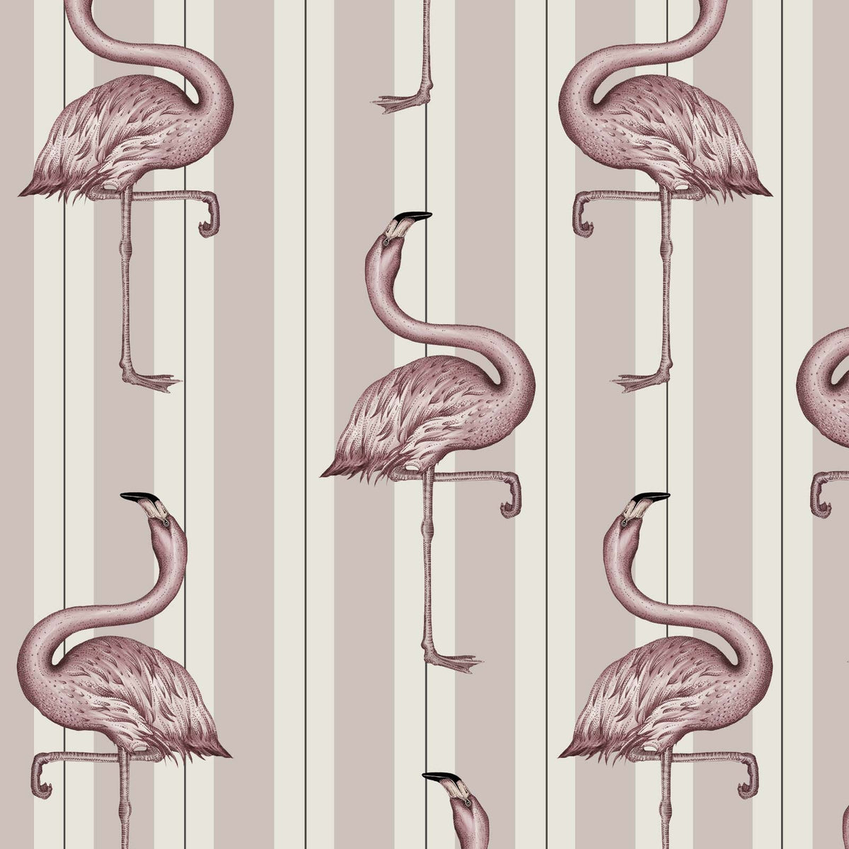 FLAMBOYANCE Wallpaper - Off White & Macaroon Pink