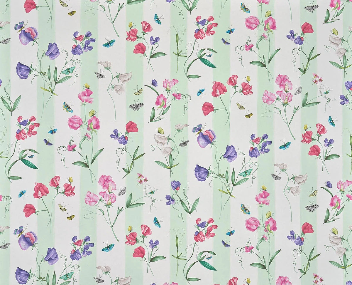 Rayure les pois de senteur wallpaper in Creme