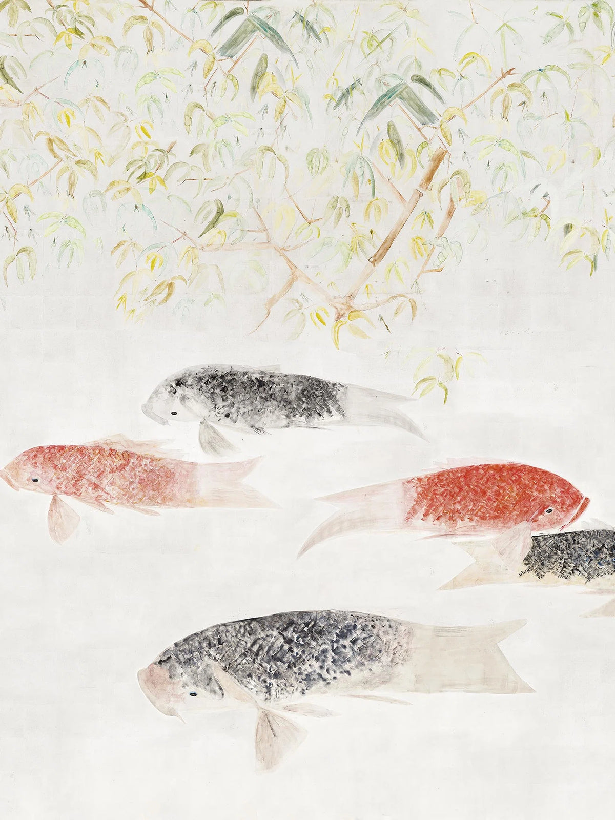 Les carpes wallpaper in Argent