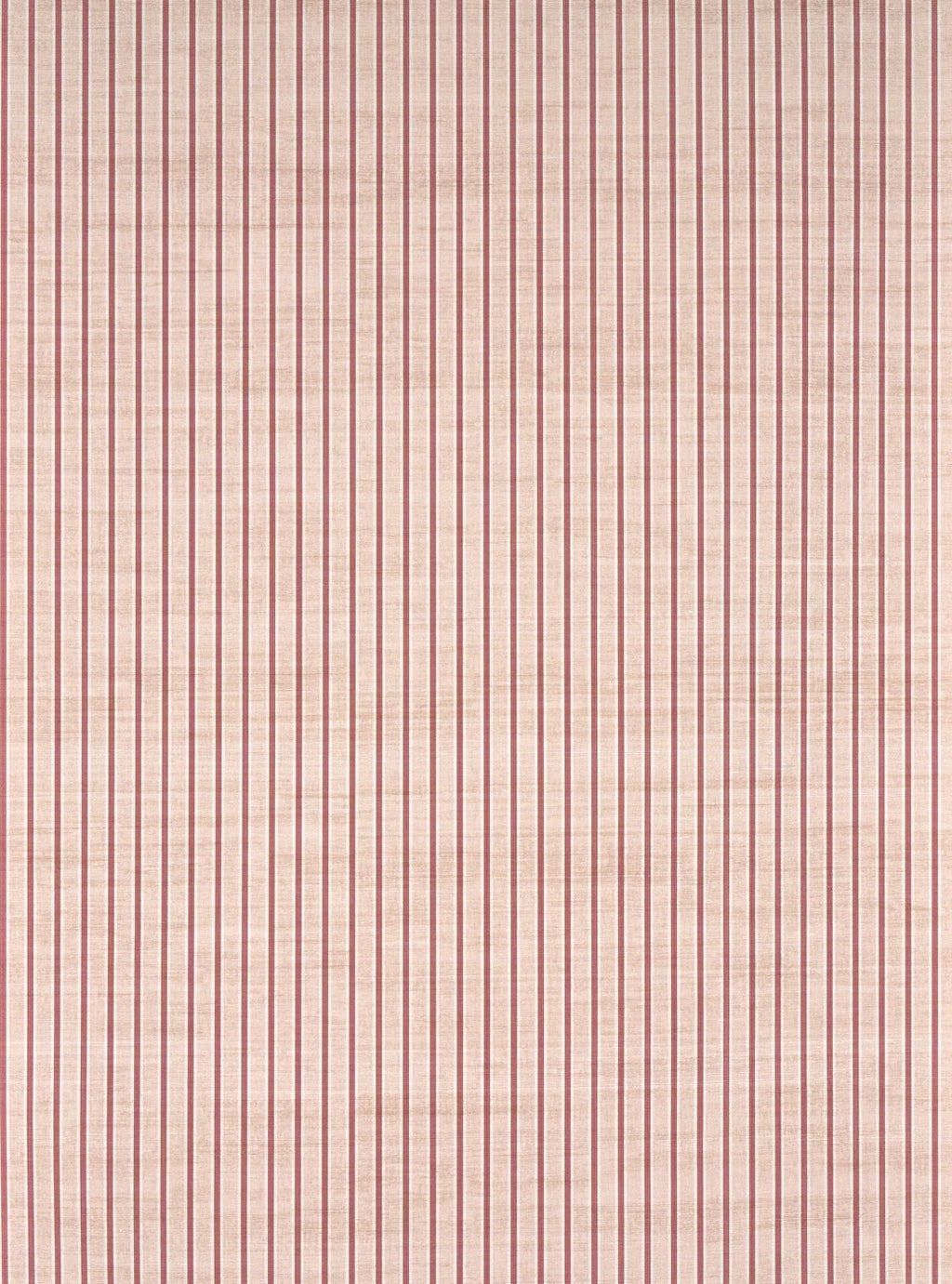 Minette wallpaper in FRAMBOISE