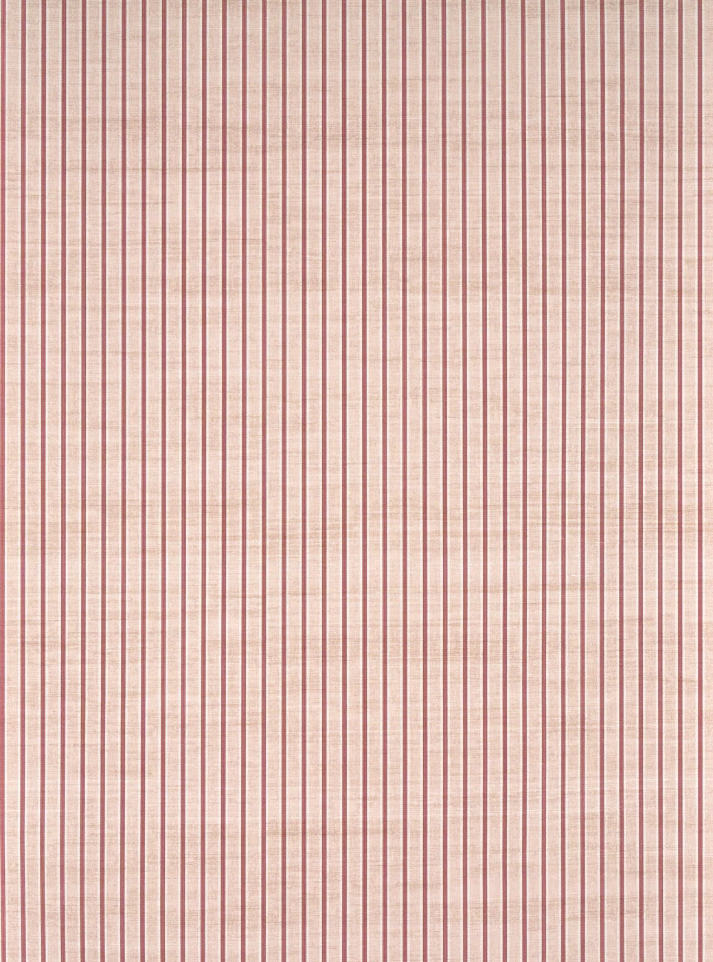 Minette wallpaper in FRAMBOISE