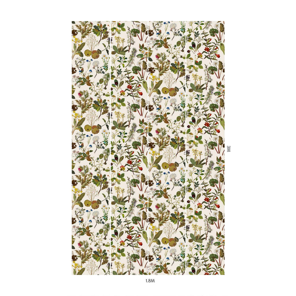 HERBARIUM Wallpaper - Ecru
