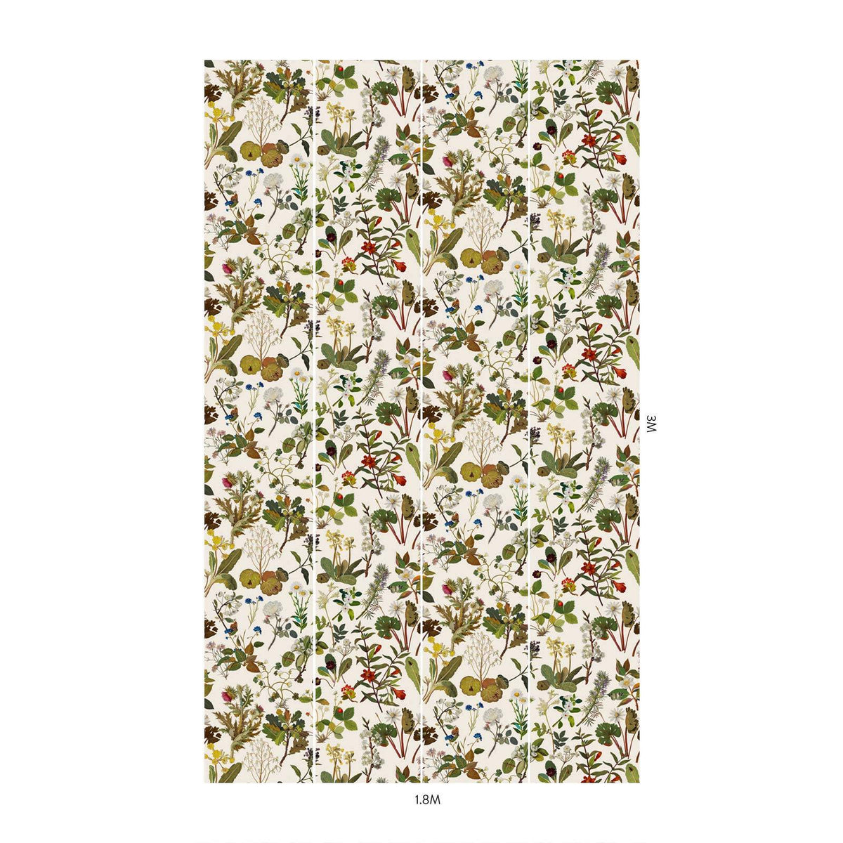 HERBARIUM Wallpaper - Ecru