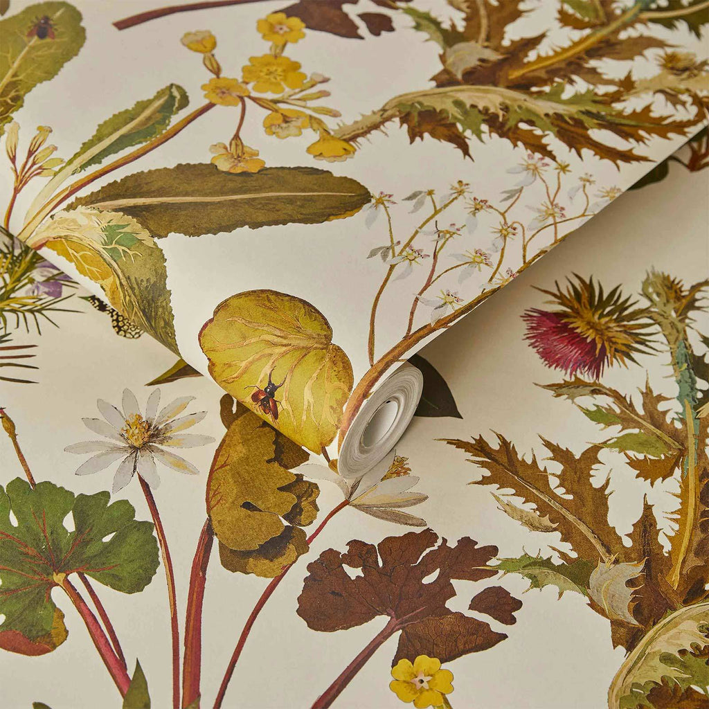 HERBARIUM Wallpaper - Ecru