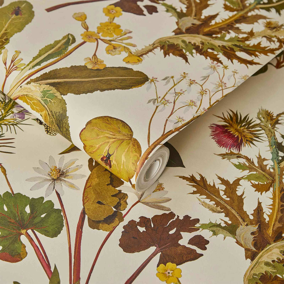 HERBARIUM Wallpaper - Ecru