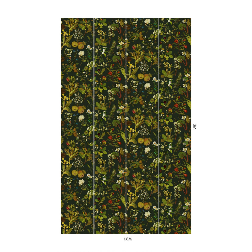 HERBARIUM Wallpaper - Forest Green-Spruce